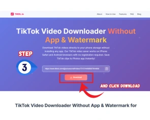 Step 3 - Download TikTok video HD to phone storage